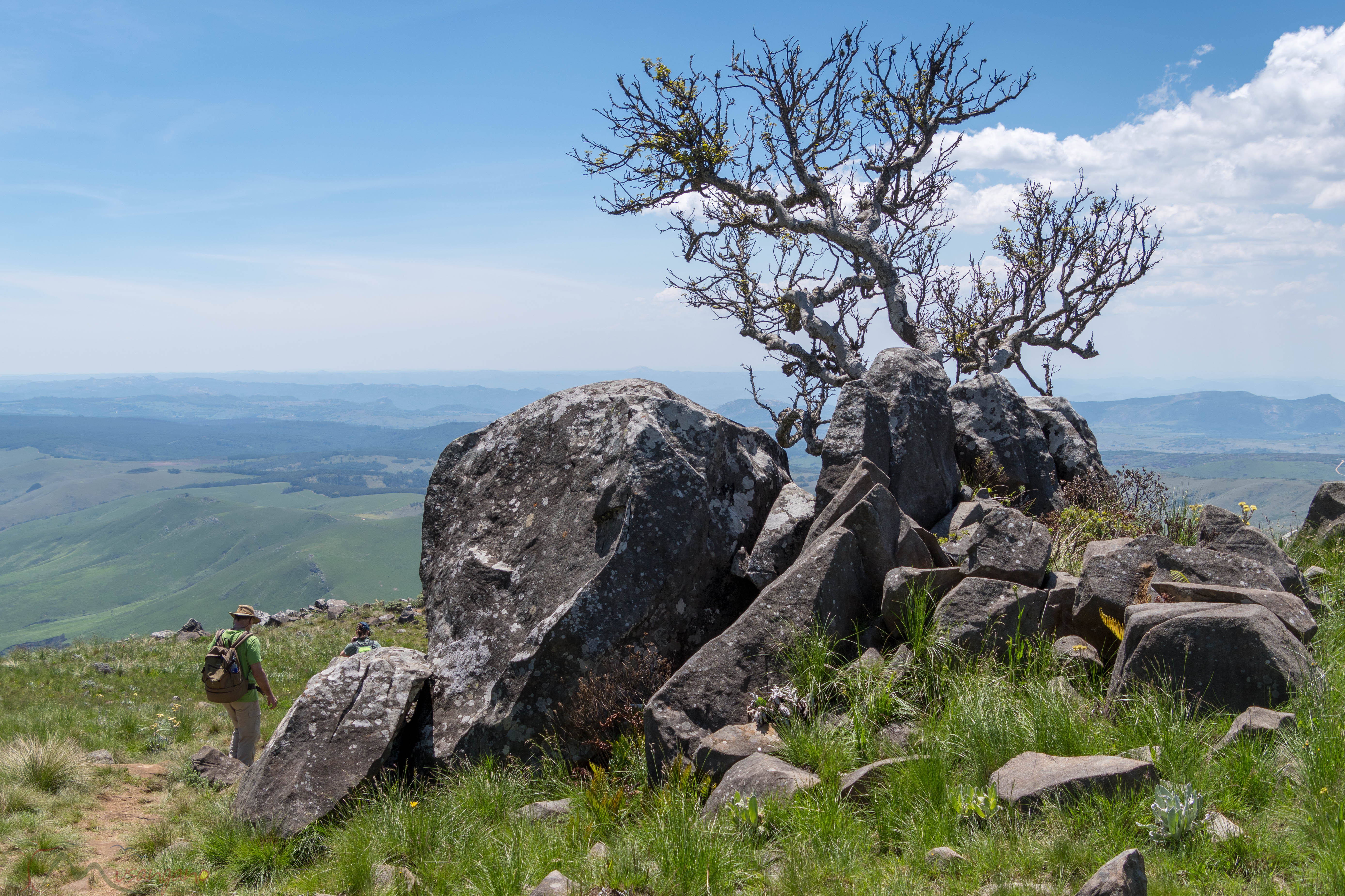 Eastern Highlands